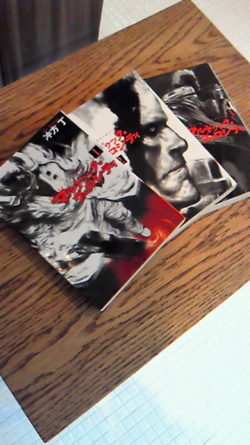 201006231316000.jpg