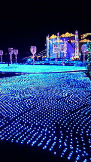 201102081832000.jpg